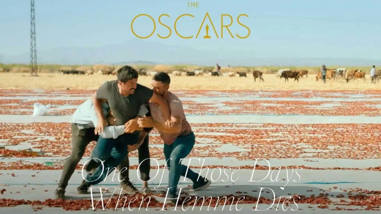 تركيا ترشح One of Those Days When Hamme Dies للأوسكار.. إليك قصته