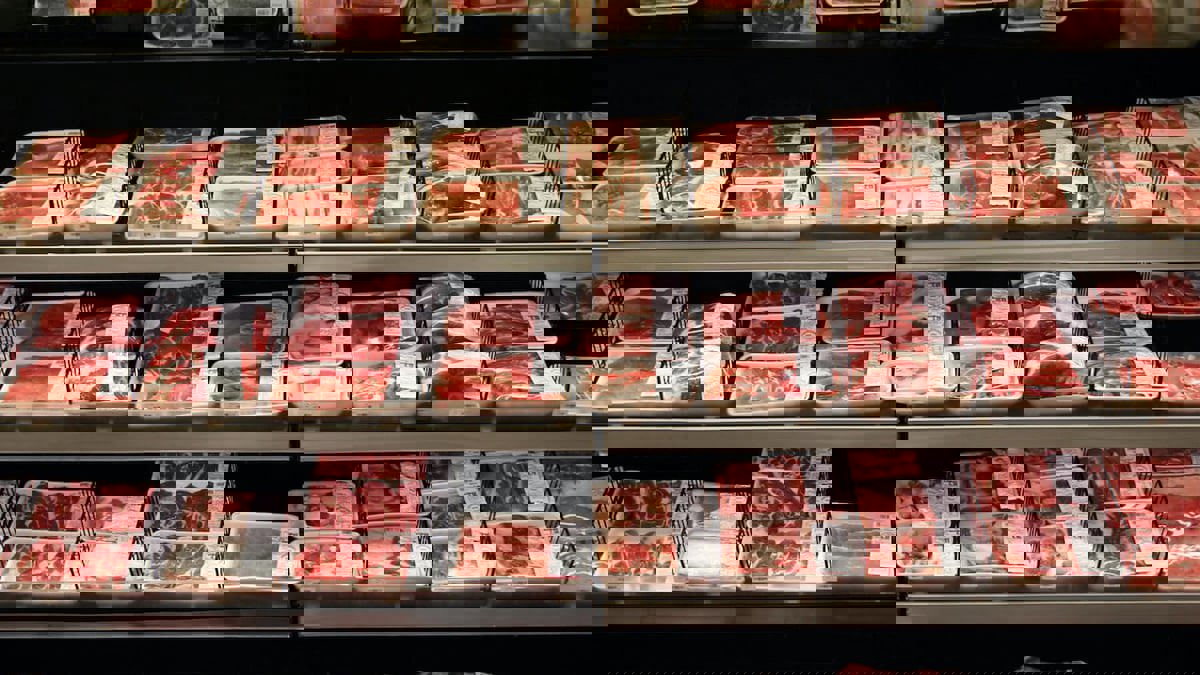 الأرجنتين.. انتشار "الدودة الشريطية" بسبب اللحوم المبردة في بوينس آيرس