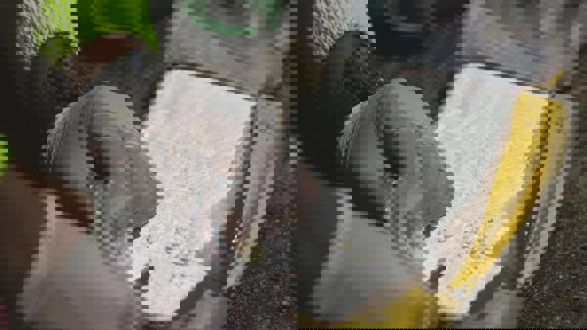 "التايمز": الصرف الصحي يكشف نتائج صادمة عن تعاطي الكوكايين في بريطانيا