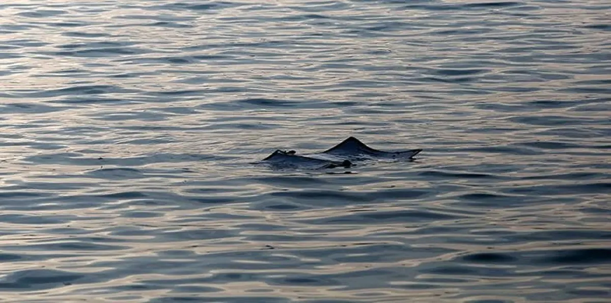 سقوط مروحية للحرس الثوري الإيراني غرب طهران (صور)