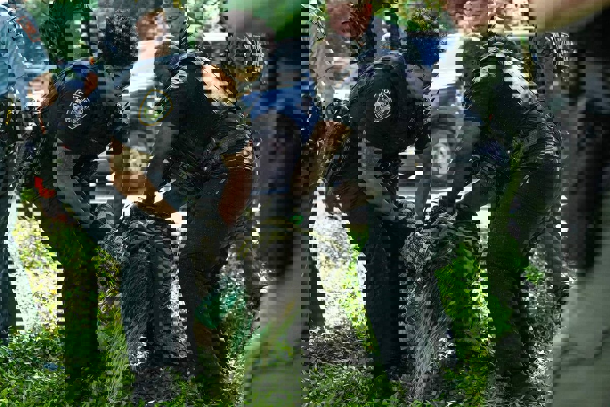  إطلاق نار وقتلى.. تاريخ من العنف الأمريكي تجاه الاحتجاجات الطلابية