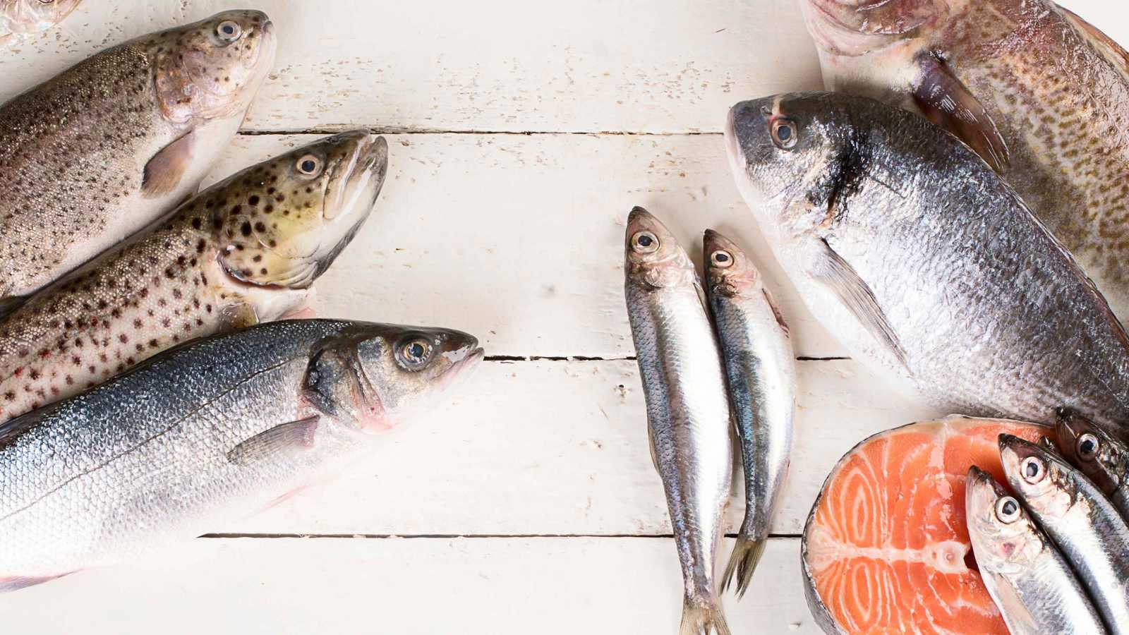 قليلة الزئبق وغنية بالأوميغا 3.. أفضل 5 أنواع أسماك صحية