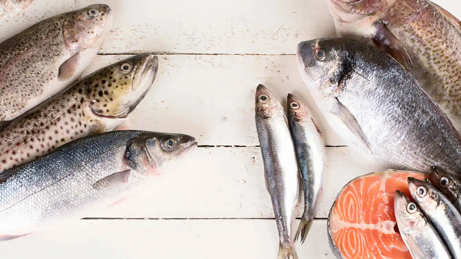 قليلة الزئبق وغنية بالأوميغا 3.. أفضل 5 أنواع أسماك صحية