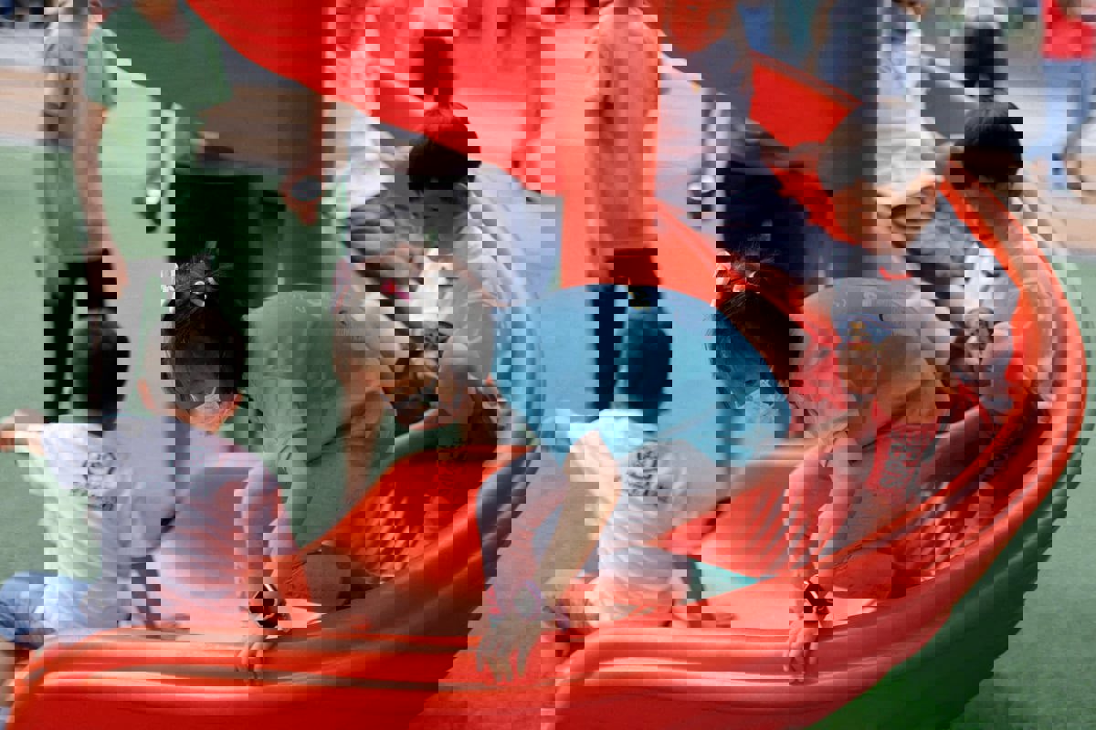 من المهم معرفتها.. 6 سلوكيات يرتكبها الآباء تفسد أطفالهم