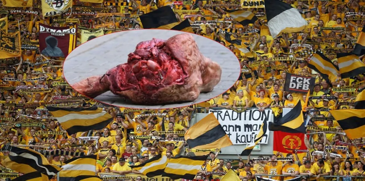 "رأس ثور" يتسبب في غلق جزء من ملعب ناد ألماني