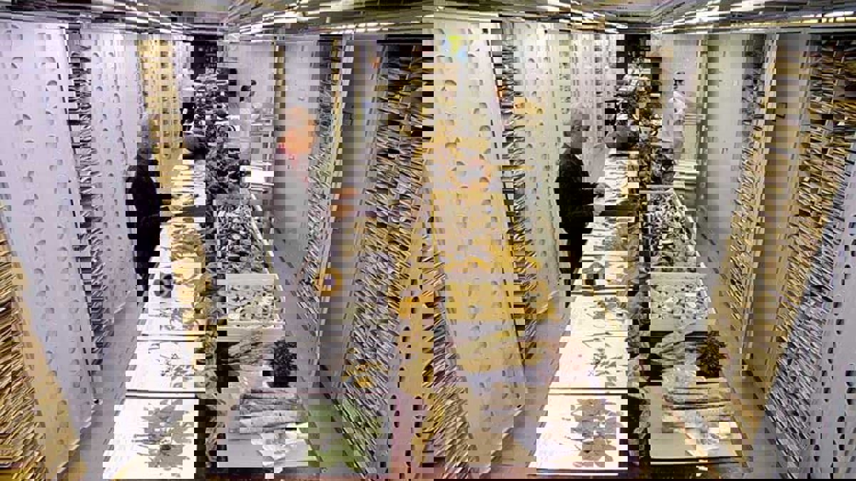 خريطة توثق الأحفوريات.. ثروة من الماضي لمواجهة الأزمات العالمية