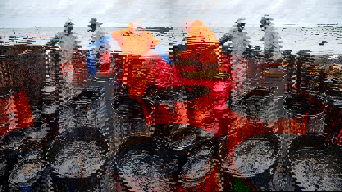 سوق الصفقات الفورية للنفط يواصل صعوده بعد تراجع المخاوف من أوميكرون