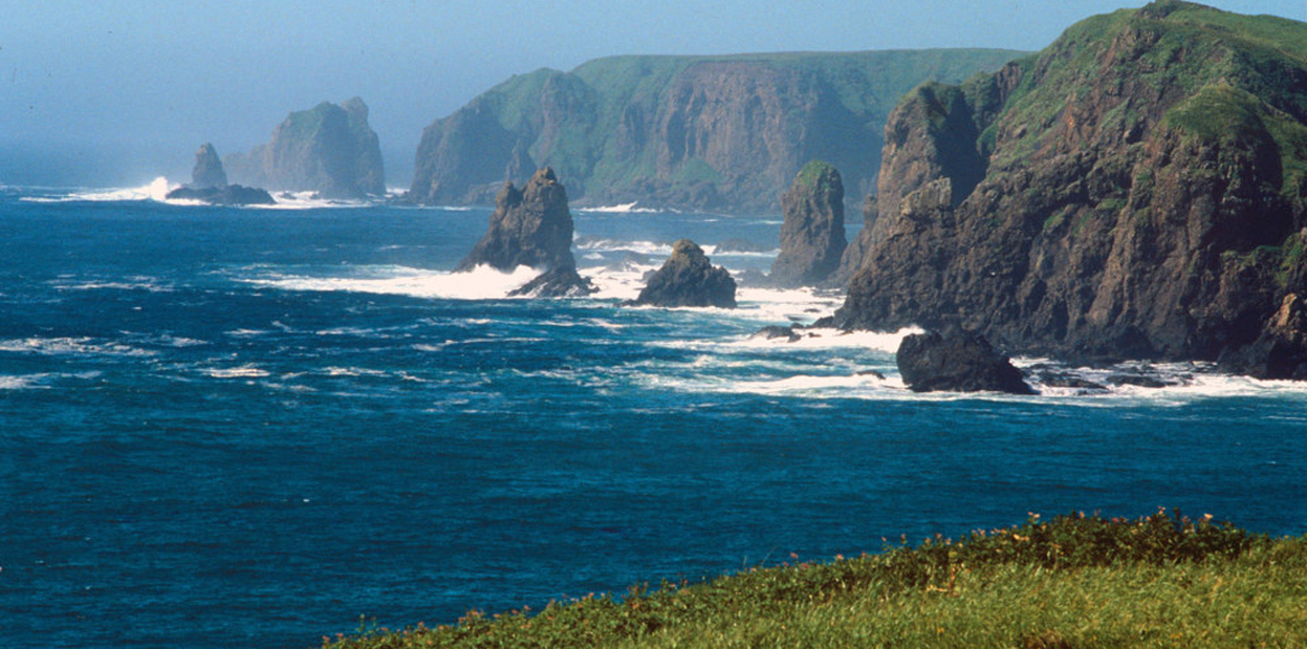 بالصور.. مخلوق غامض يظهر على أحد سواحل روسيا