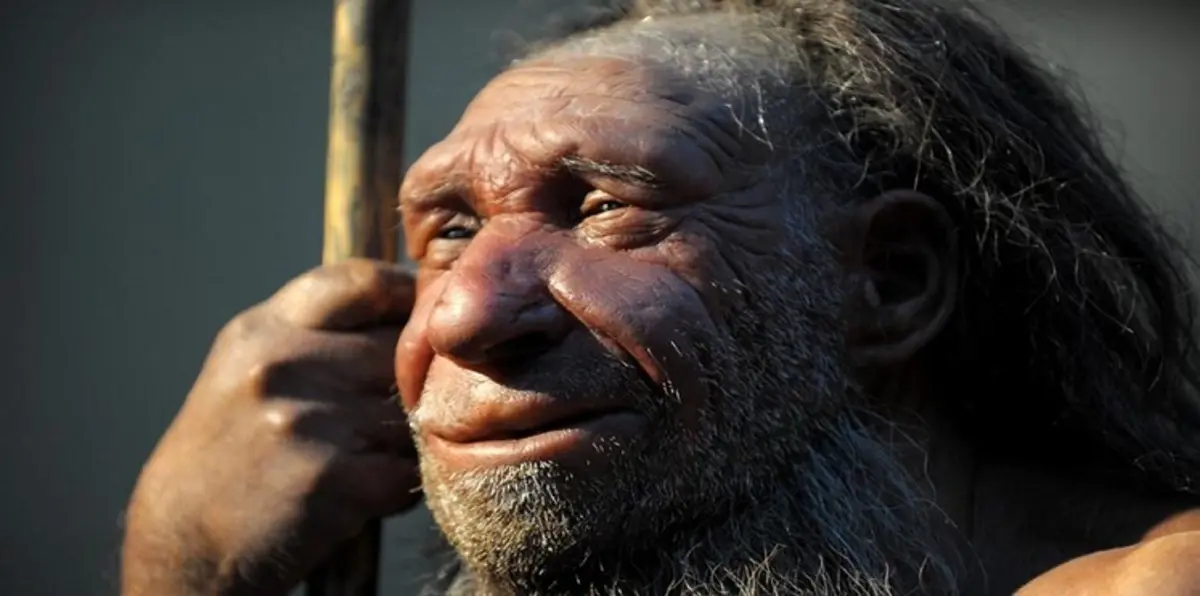 الإنسان "العاقل" عاش في تونس قبل 100 ألف سنة