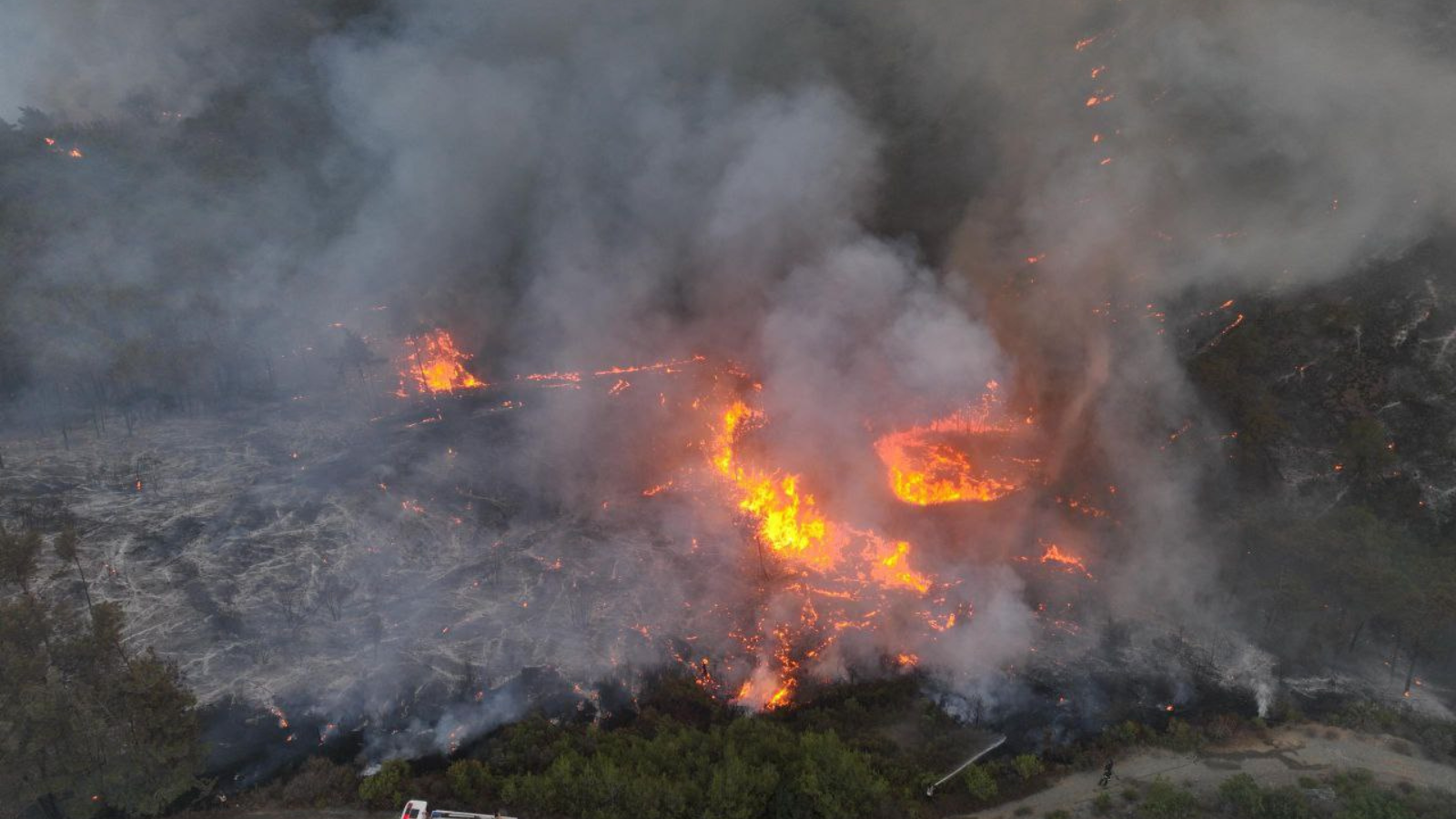 وزير الطوارئ السوري يكشف عن حجم الأضرار جراء حرائق اللاذقية