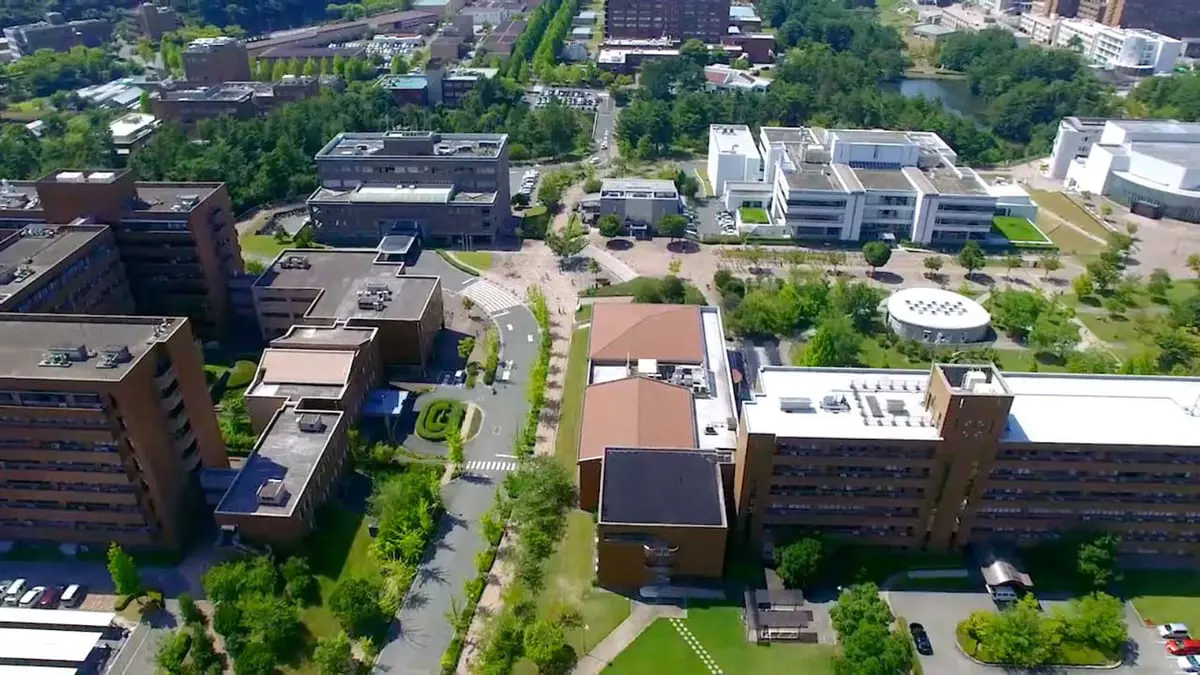 تقنية جديدة لتصنيع الأمونيا تفتح الآفاق للتحول إلى الطاقة المتجددة