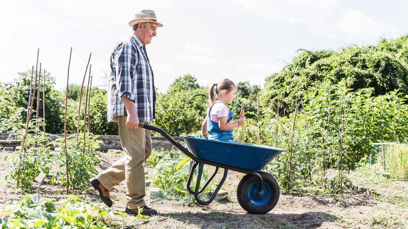 البستنة لكبار السن.. علاج طبيعي لتعزيز الصحة النفسية والجسدية