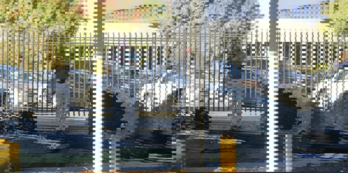 مقتل أردني إثر تحطم طائرة تدريب بأمريكا في حادث "متعمد" (صور)