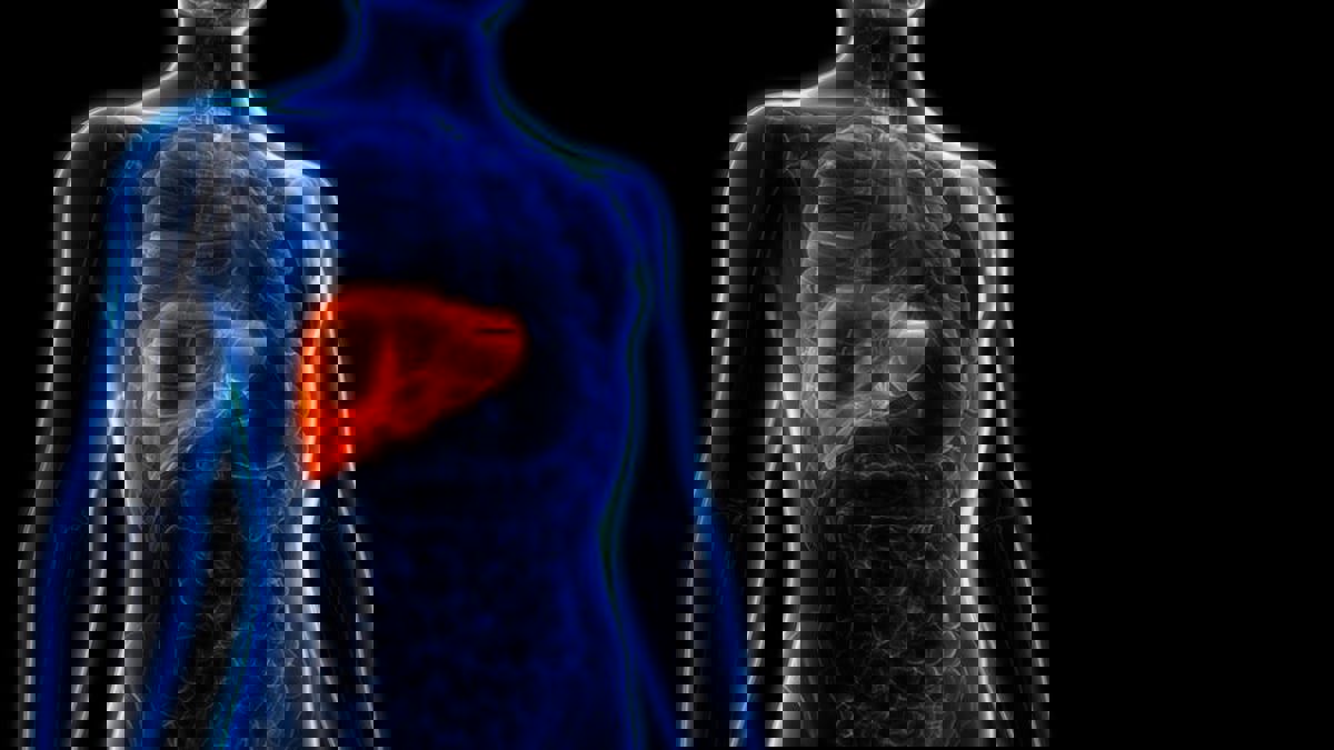 تناول هذا المشروب يوميا يزيد خطر الإصابة بسرطان الكبد 