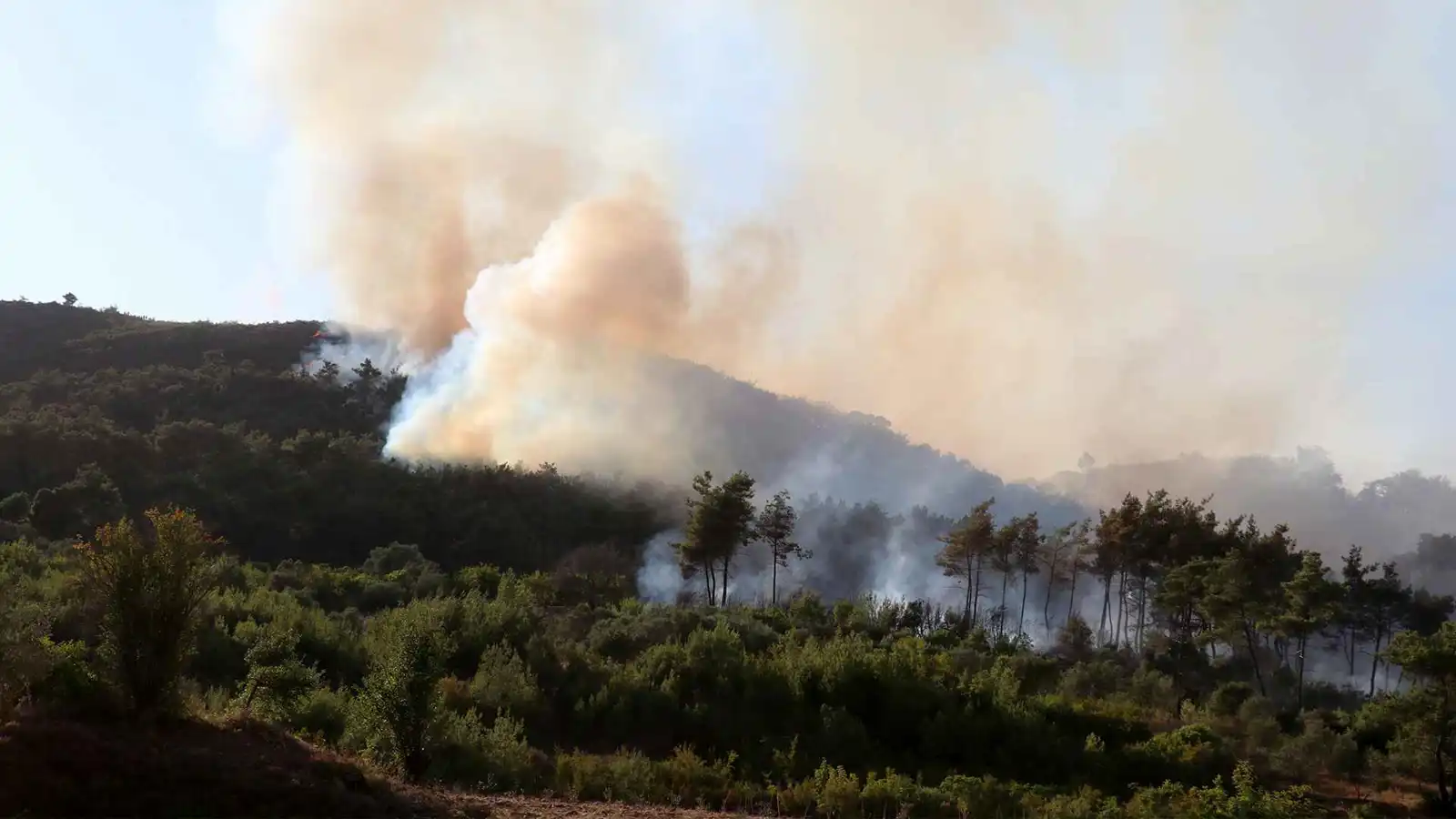 النيران تمتد لـ"جبل الأكراد".. هل خرجت حرائق الساحل السوري عن السيطرة؟