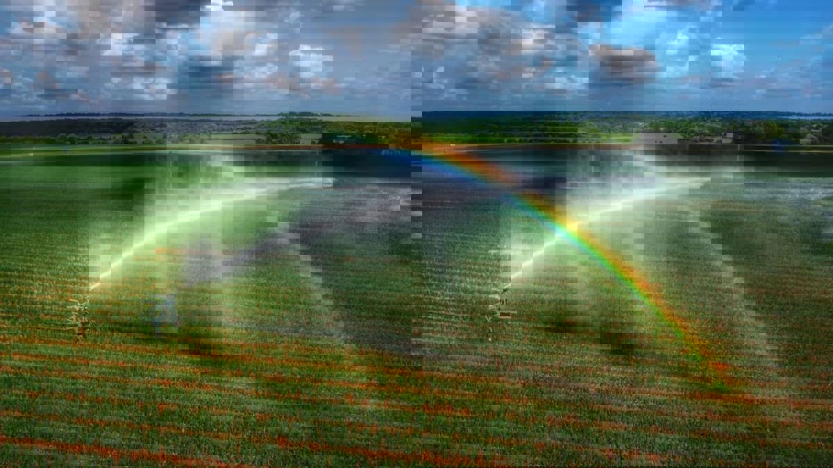 استخدام إنترنت الأشياء لترشيد مياه الري