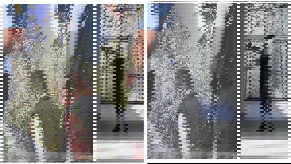 ماذا تعرف عن نوح اسبنسن مطلق النار بكوبنهاغن؟