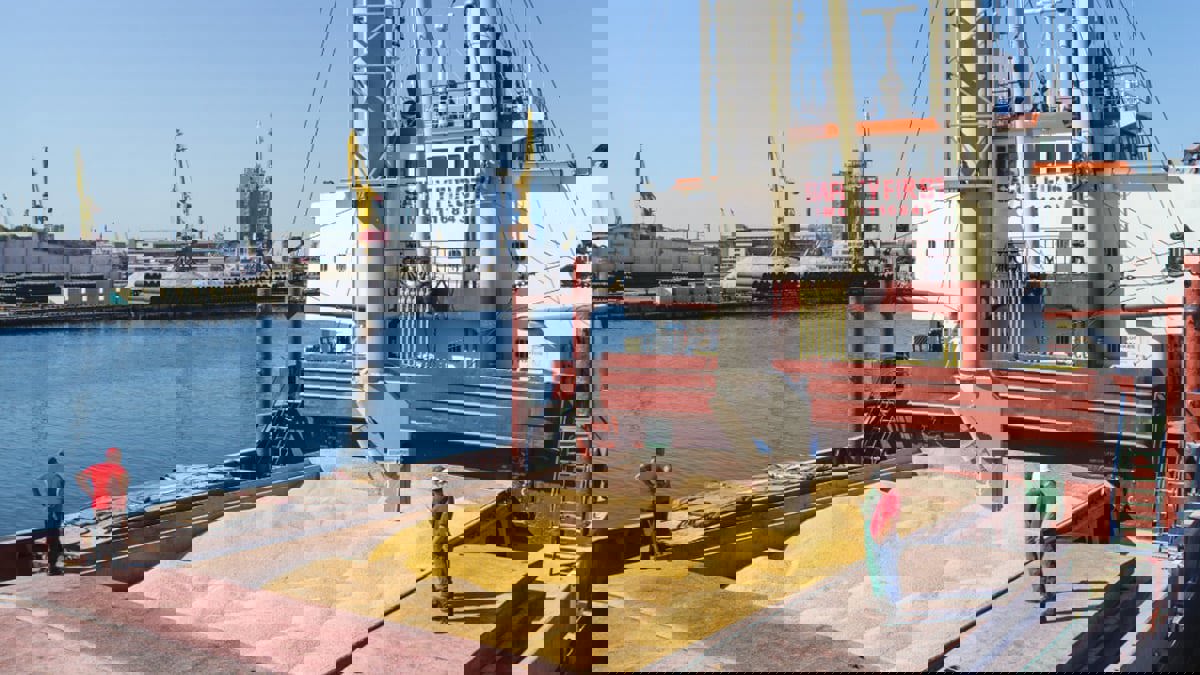 أوكرانيا ترفع قيودها المفروضة على تصدير الذرة وزيت دوار الشمس