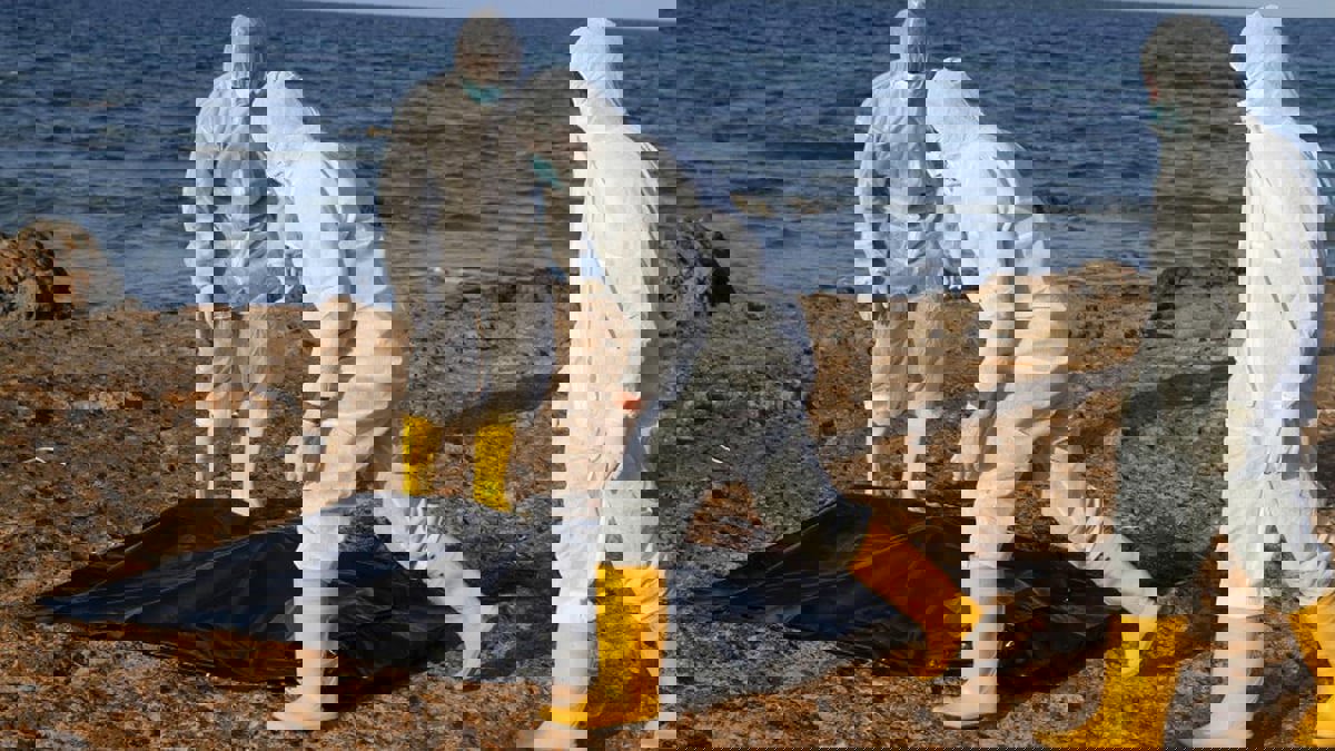 اعتقال أحد المتورطين بإحراق قارب المهاجرين في صبراتة