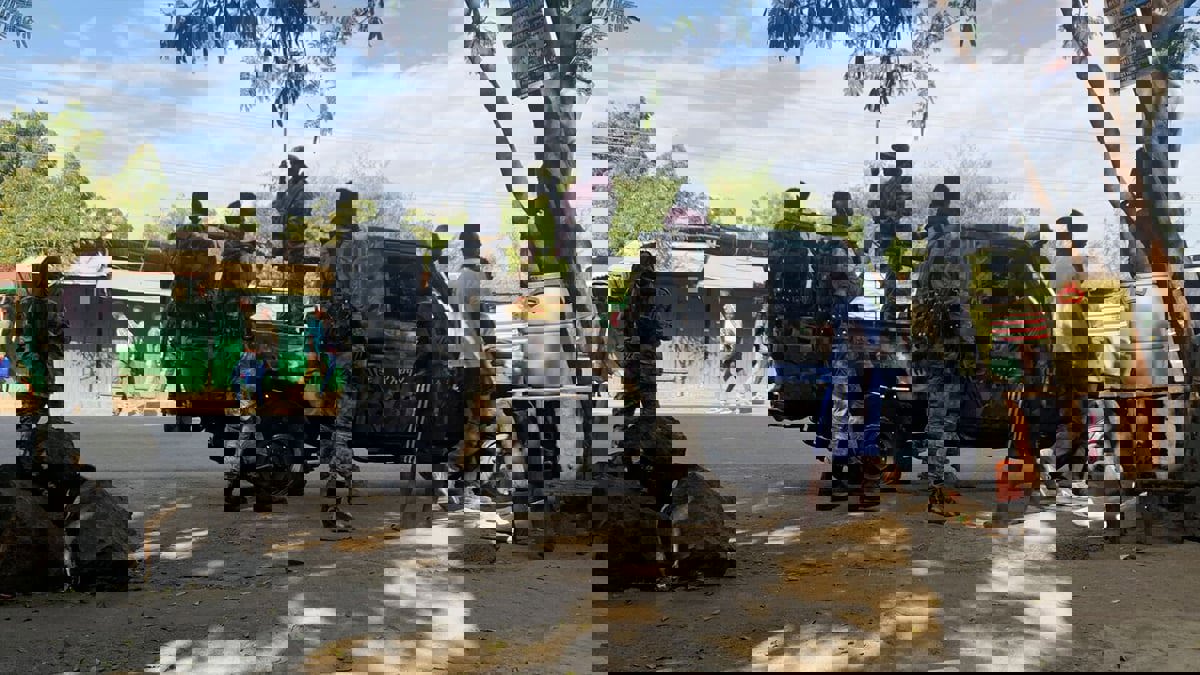 الأمم المتحدة: قوات إريترية تقصف بلدة في تيغراي شمال إثيوبيا