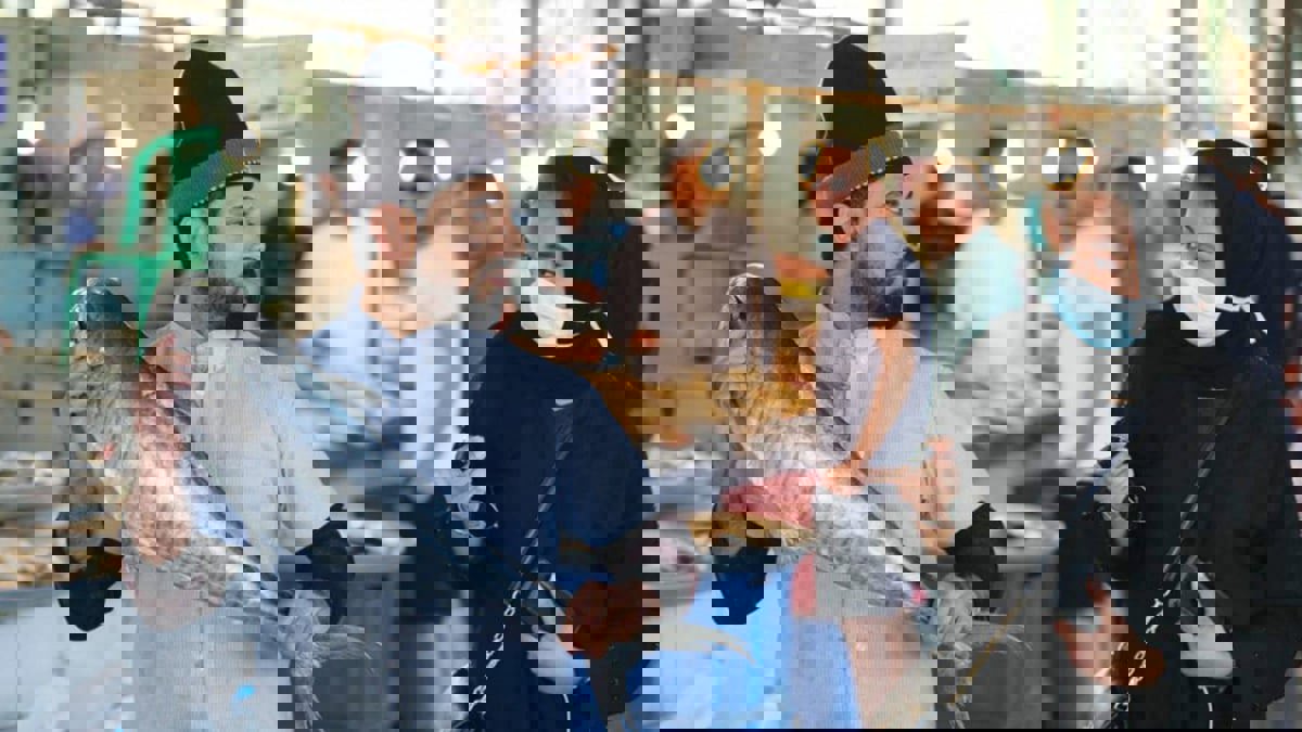 في تحول جديد بعمل النساء.. سعوديات يحترفن بيع السمك