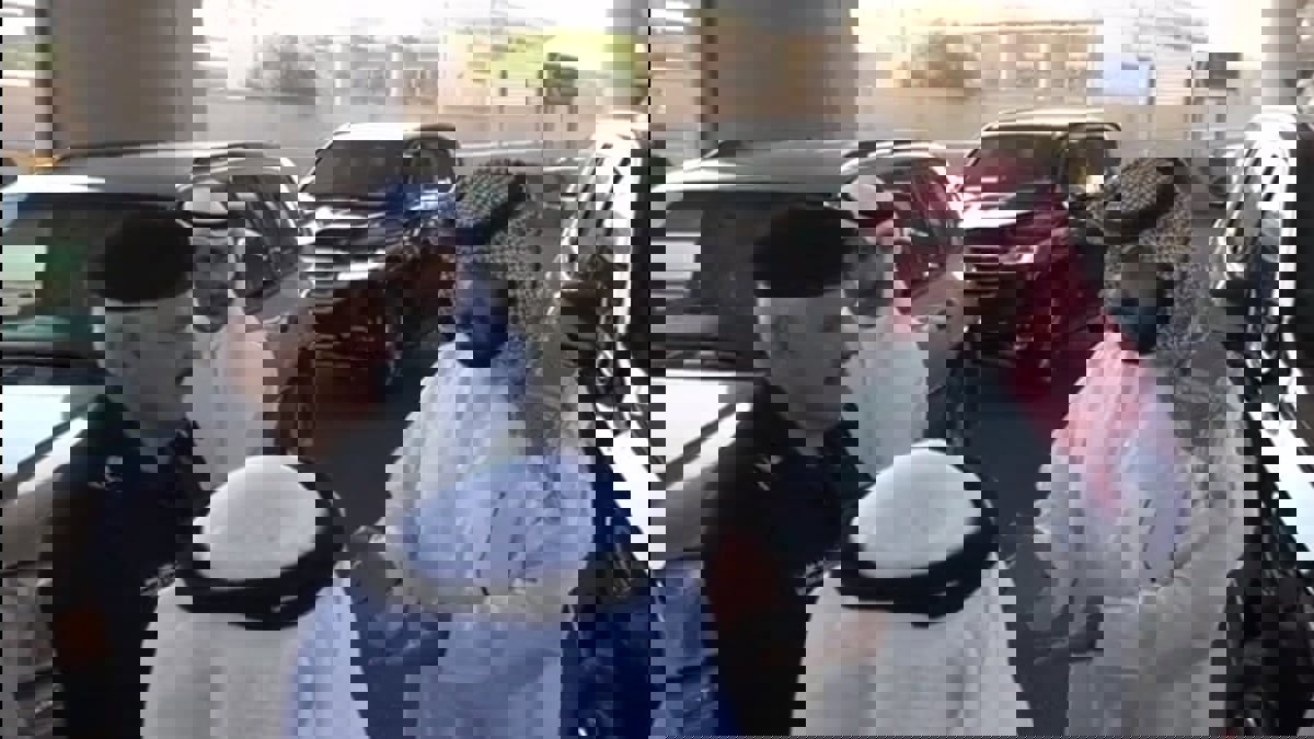 عقب مقتل مهربي مخدرات.. الكويت تشدد الإجراءات على منافذها