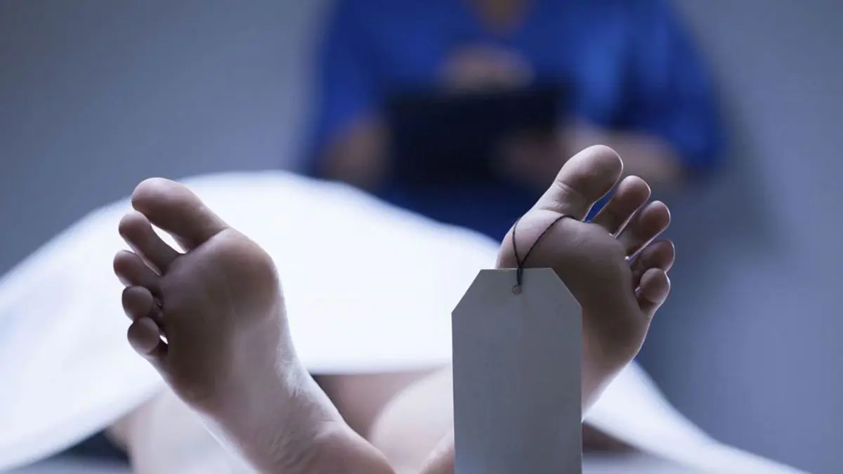 سوري يدفع صديقه من علو بعد خلاف على المسروقات (صورة)