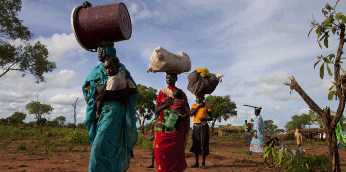 جنوب السودان .. تخفيض مهر العروس "اللاجئة" إلى 15 بقرة
