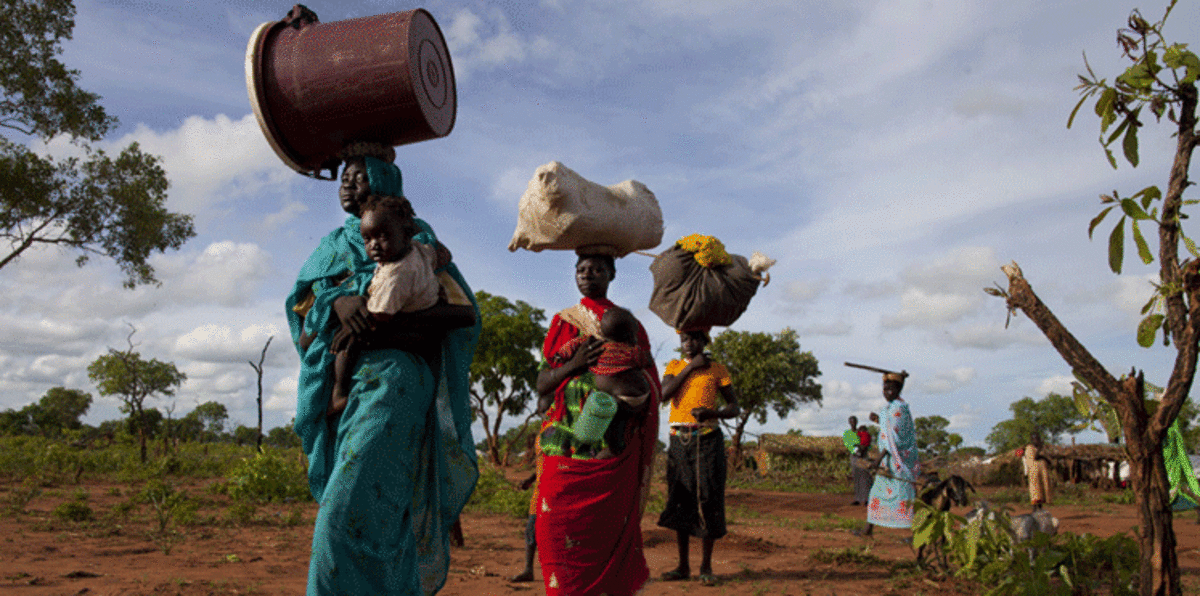 جنوب السودان .. تخفيض مهر العروس "اللاجئة" إلى 15 بقرة