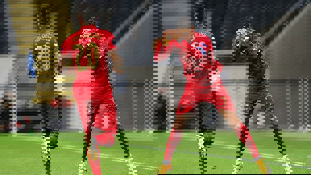 كريستيانو رونالدو يسجل هدفه الـ101 مع منتخب البرتغال (فيديو)