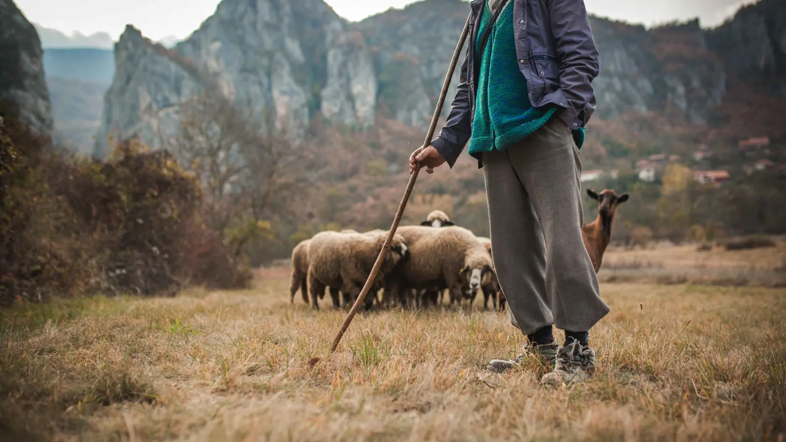 اعتداء فتاة على راعي ماشية يثير موجة غضب عارمة في تركيا (فيديو)