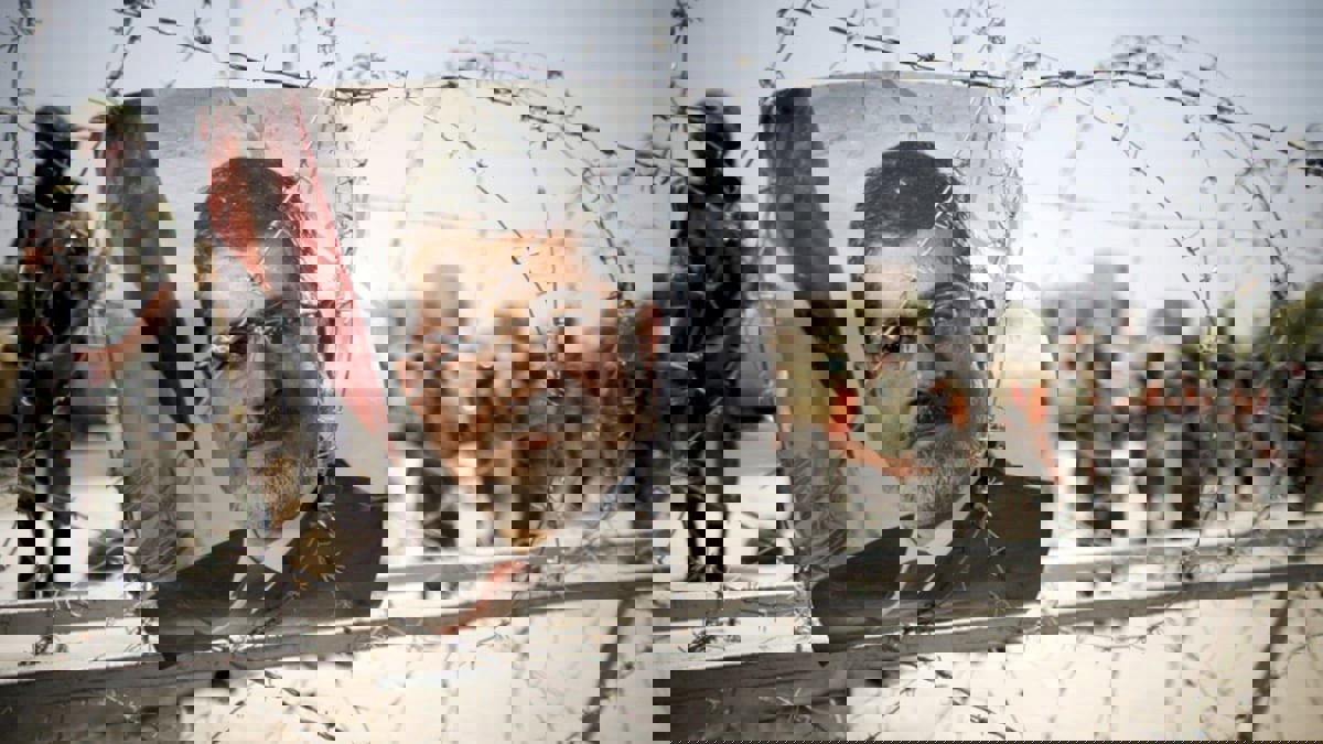 في هامش المسلسل