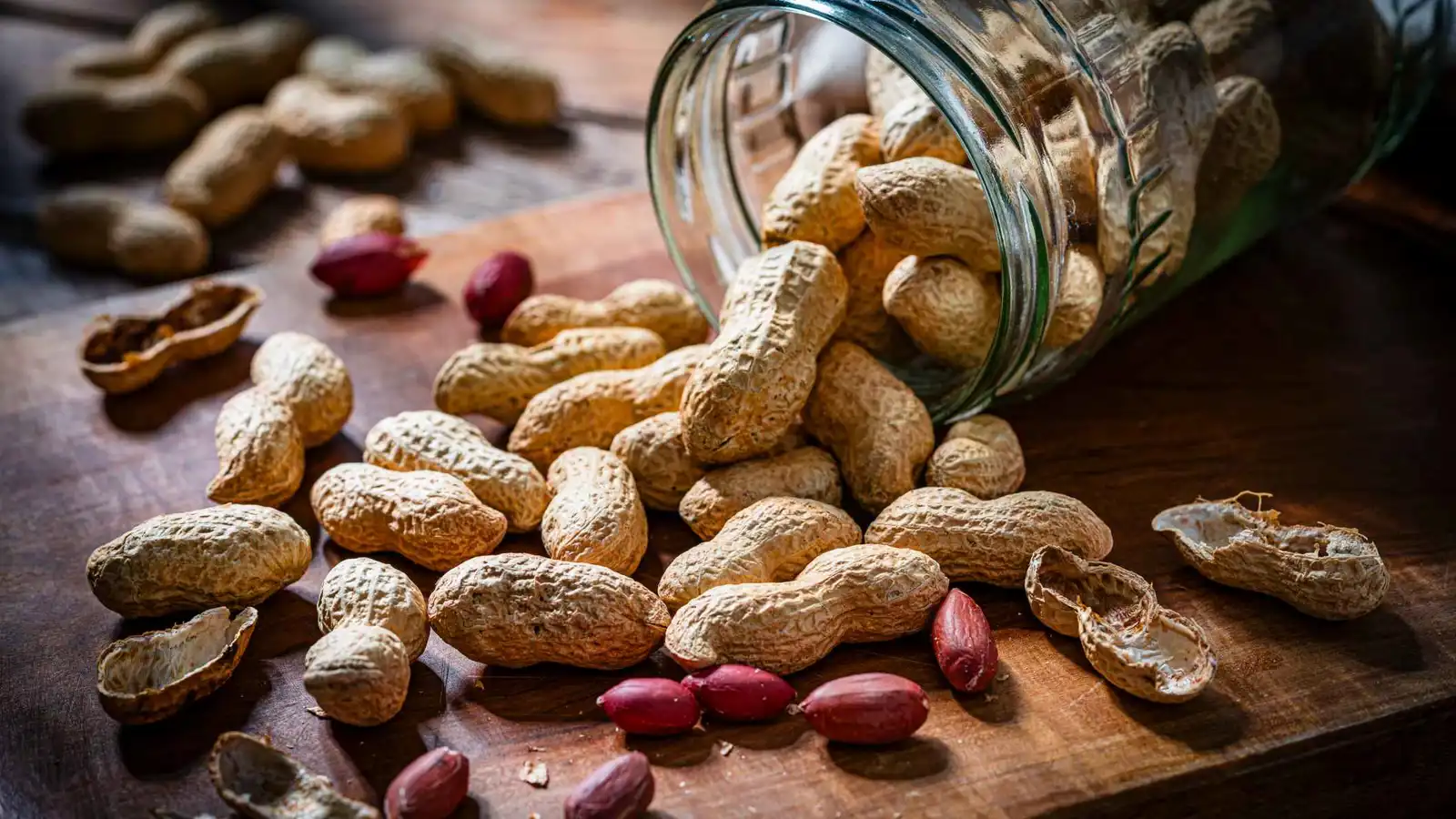 بكتيريا "الفم والأمعاء" قد تخفف حساسية الفول السوداني