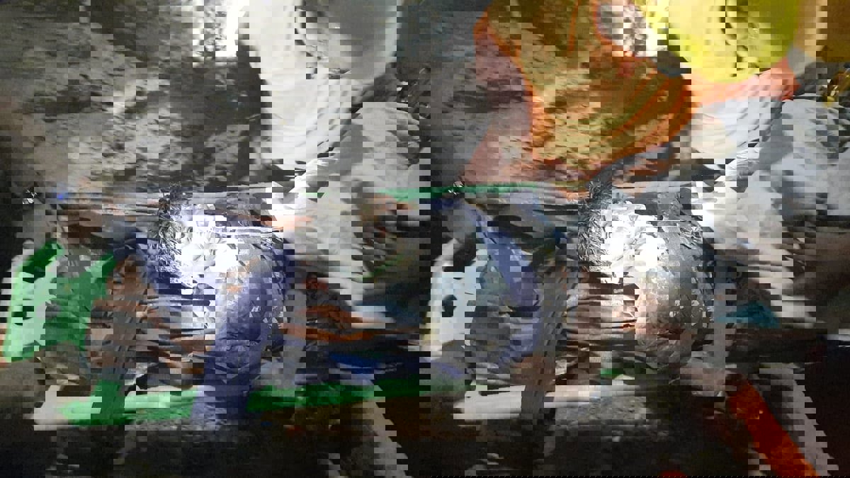 إنقاذ طفل هندي علق في بئر 4 أيام