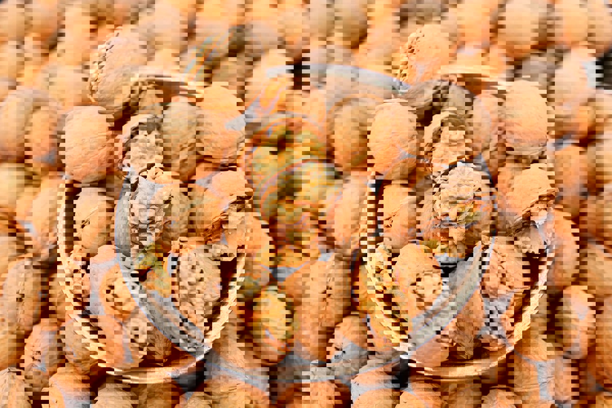 "أسهل عادة" لتعزيز جهاز المناعة وتحسين صحة القلب