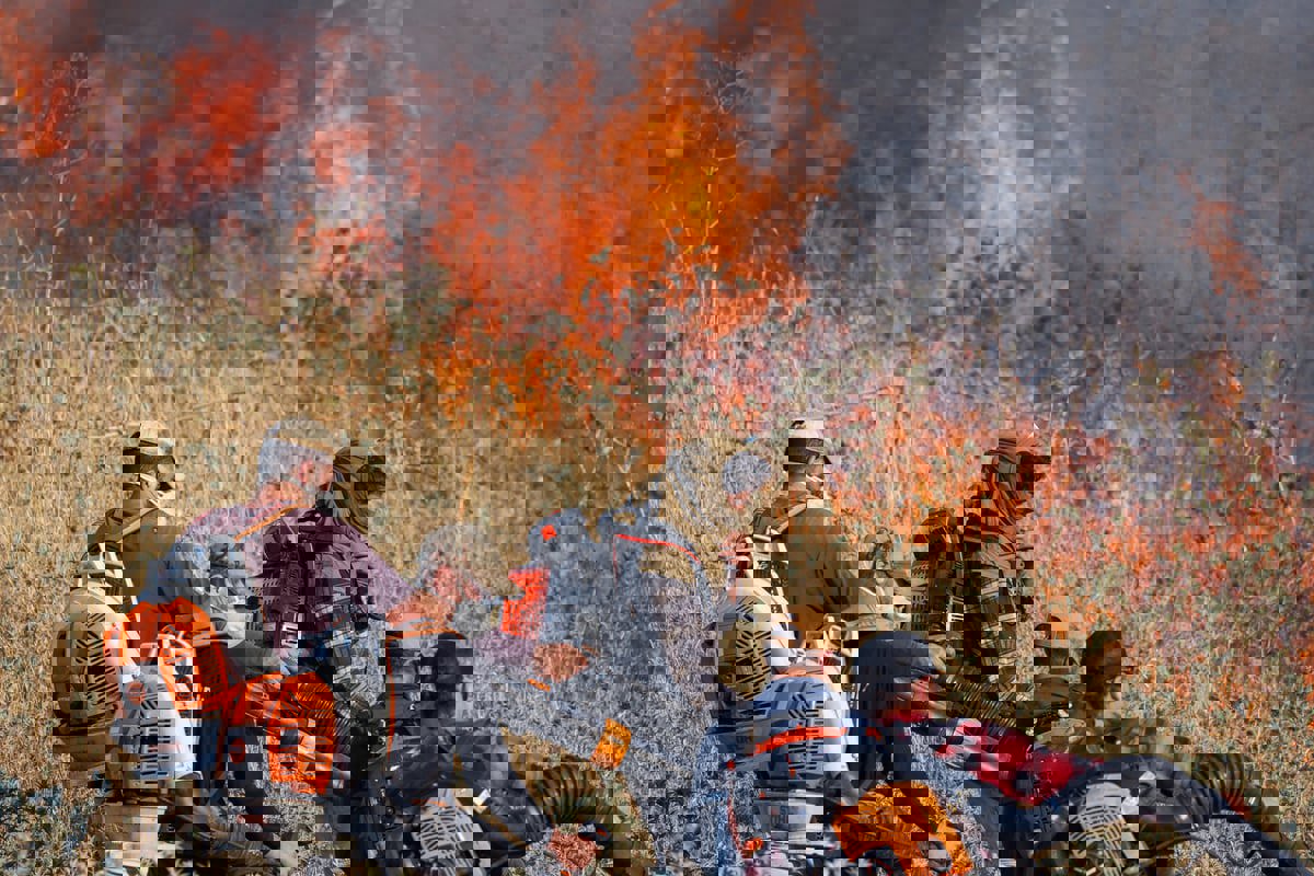 حرائق واسعة في شمال إسرائيل بعد هجوم لحزب الله (فيديو) 