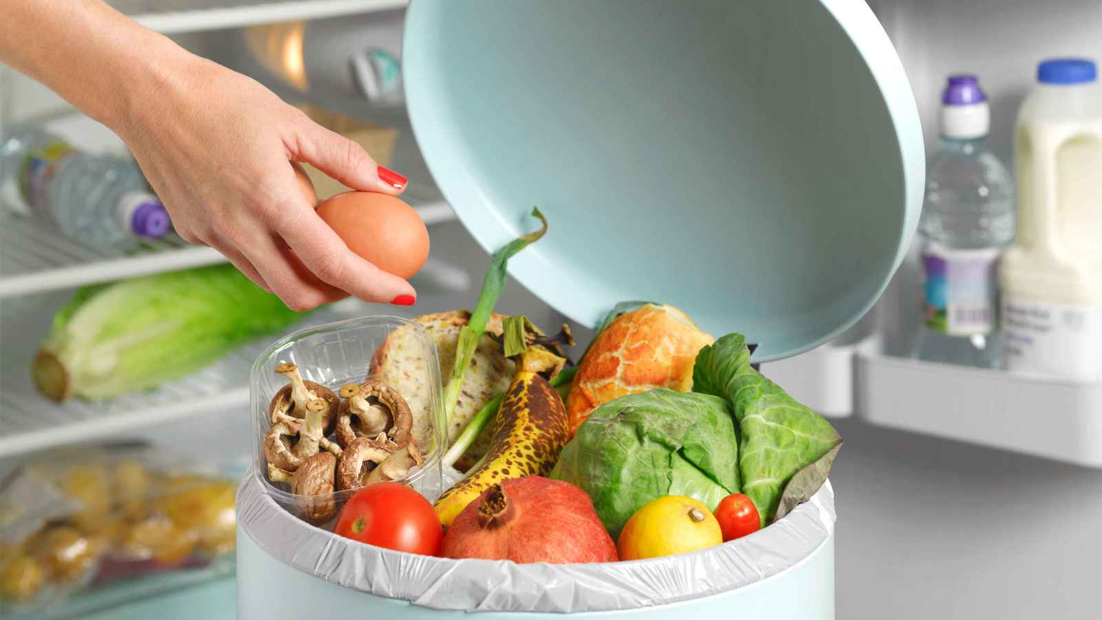 اختبار "رسمي" لتحديد هادري الطعام في الخليج العربي