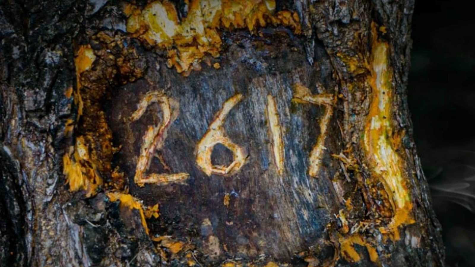 "2617".. فيلم مغربي يرصد "المعاناة الصامتة" لمرضى الاكتئاب