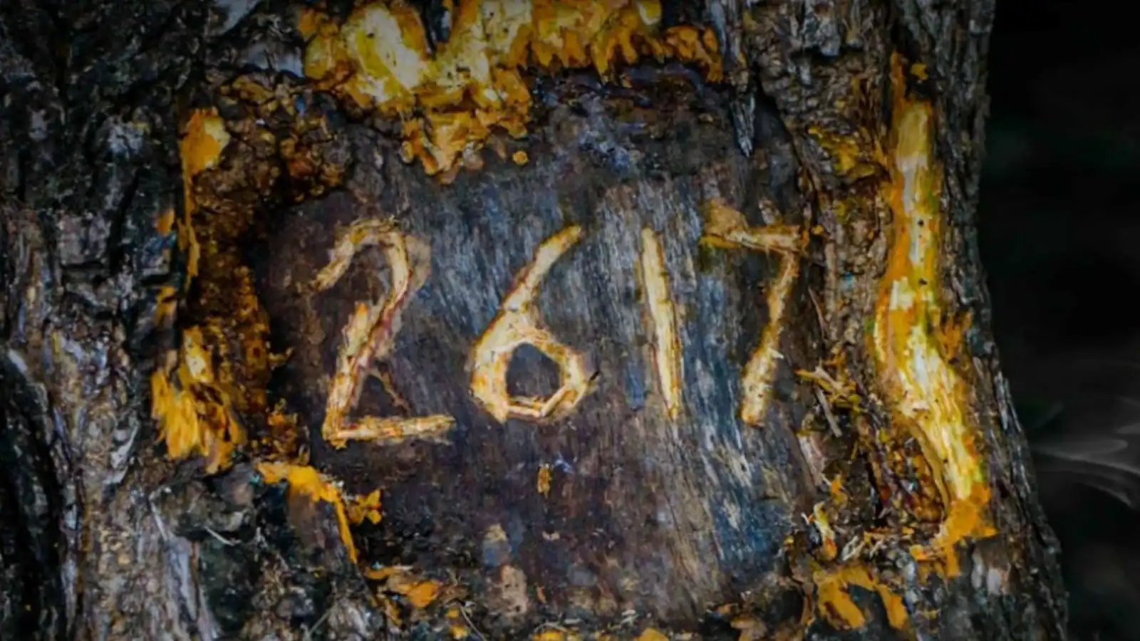 "2617".. فيلم مغربي يرصد "المعاناة الصامتة" لمرضى الاكتئاب