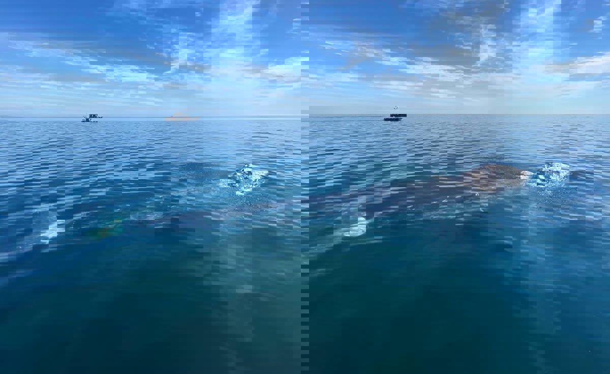 ما الذي رفع حرارة المحيط الأطلسي لمستويات غير مسبوقة؟