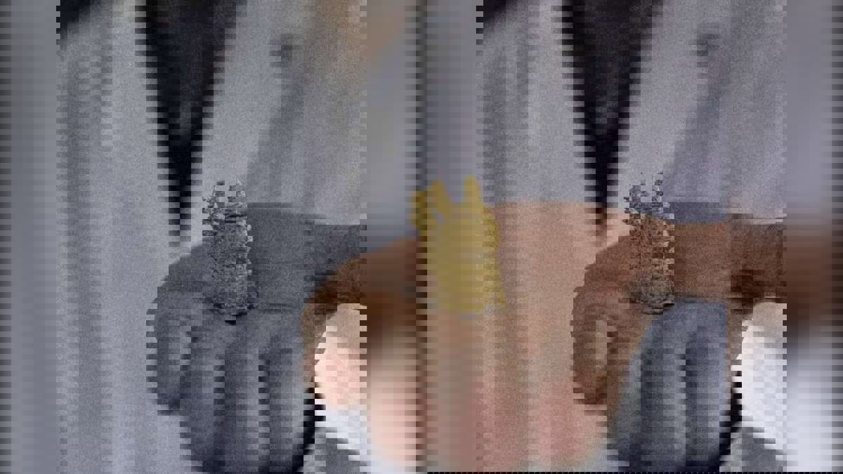 فريق بحثي يعد وجبات مطبوعة 3D للأطفال من الطحالب البحرية‎‎