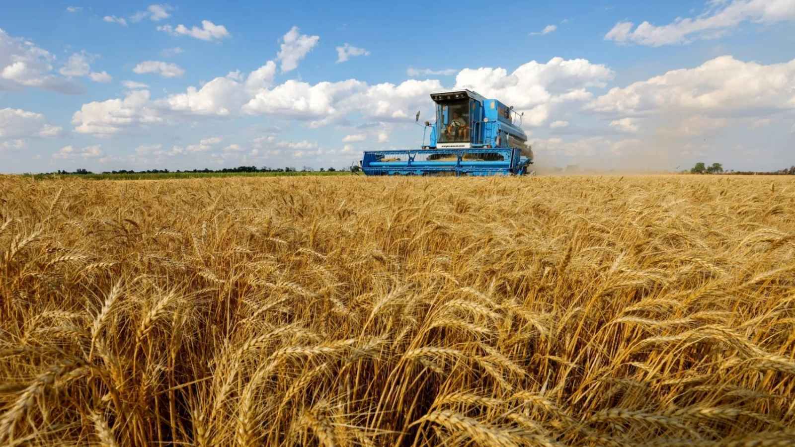 واشنطن تبدأ رفع العقوبات الزراعية عن روسيا