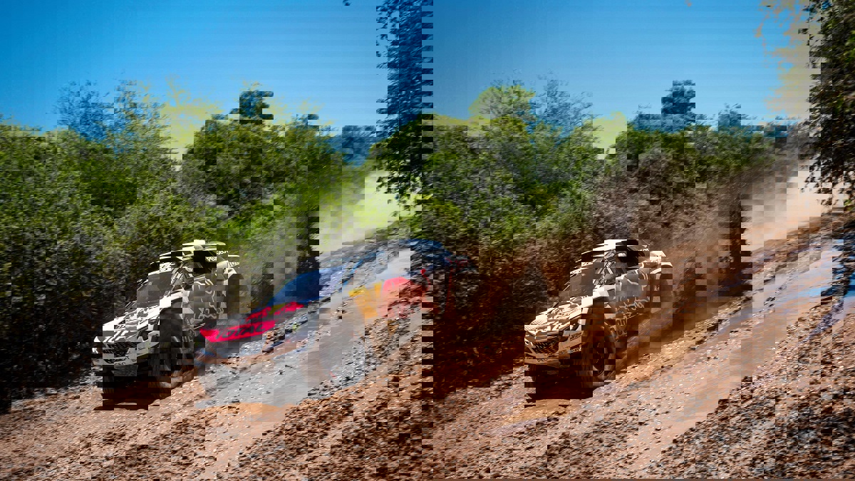 رسميًا.. رالي داكار في السعودية (فيديو)