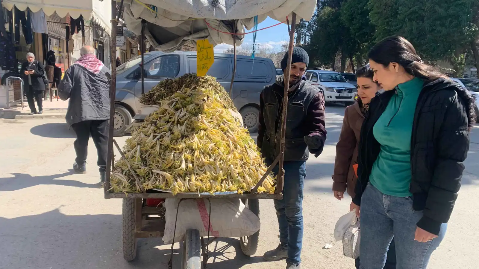 "السلبين البري".. عشبة الربيع السورية بفوائد لا تُقاوم