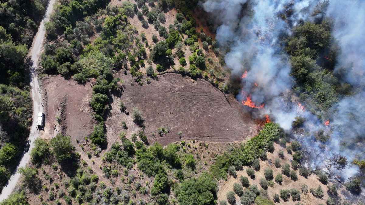 اللاذقية "نار ودمار".. لماذا لم تُخمد حرائقها.. وماذا لو امتدت؟
