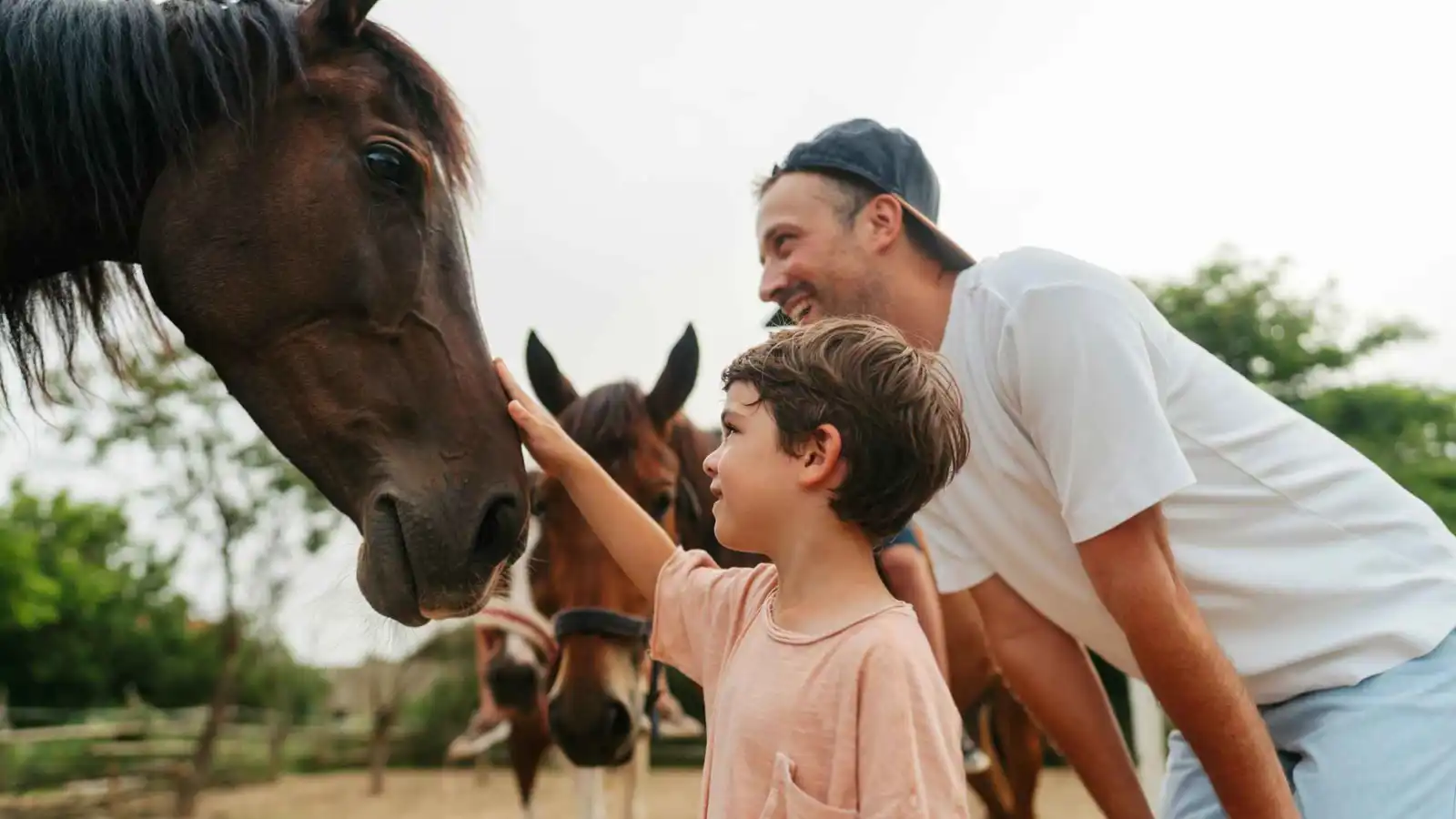 الأحصنة تشم خوف الإنسان.. دراسة تكشف الرابط العاطفي