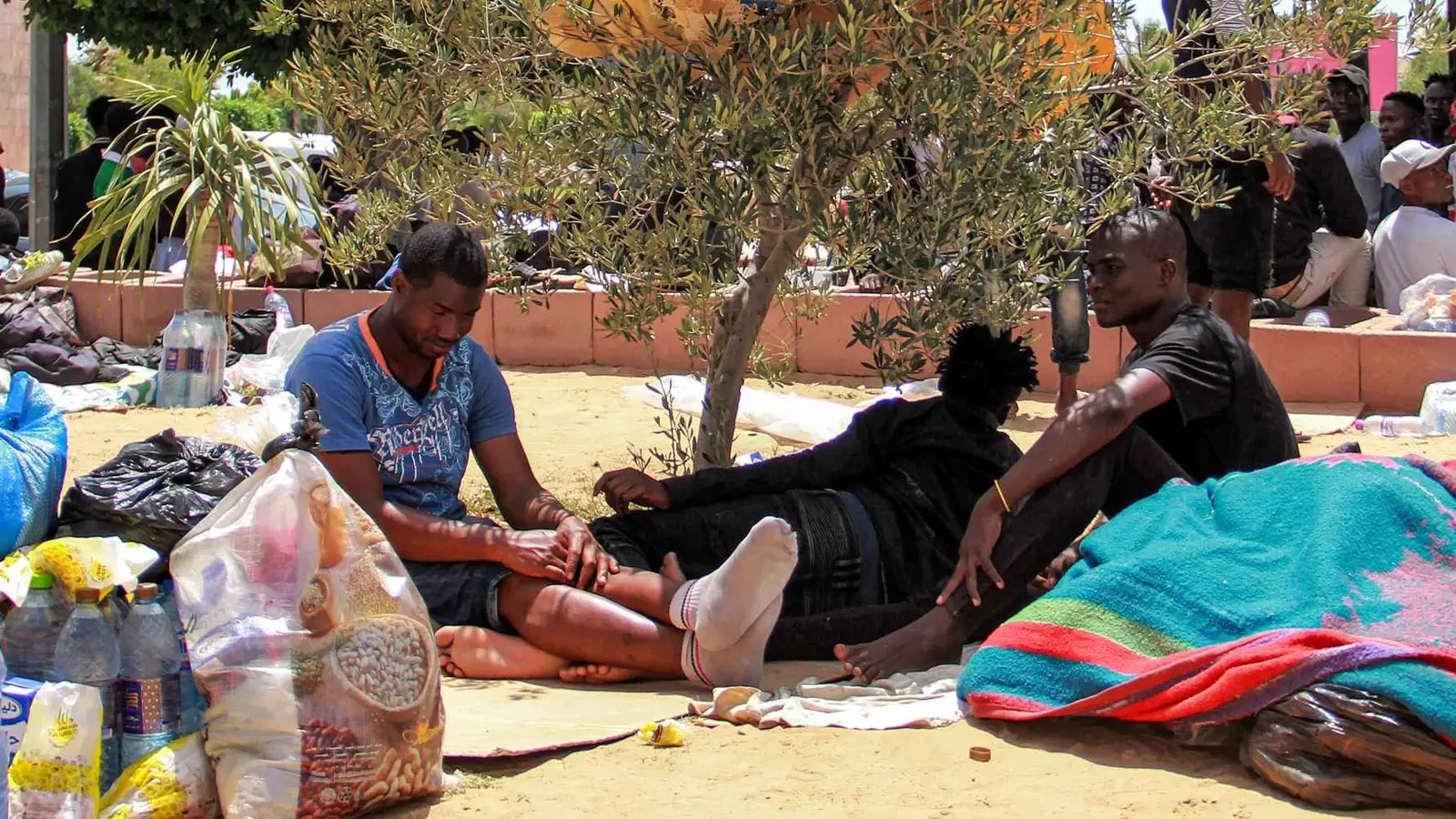 تونس تبدأ إزالة أكبر مخيمات المهاجرين غير الشرعيين