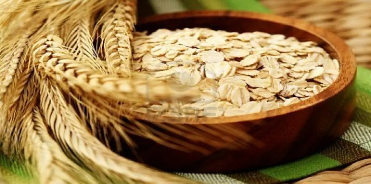 تناول الشوفان في سن المراهقة يقي من سرطان الثدي