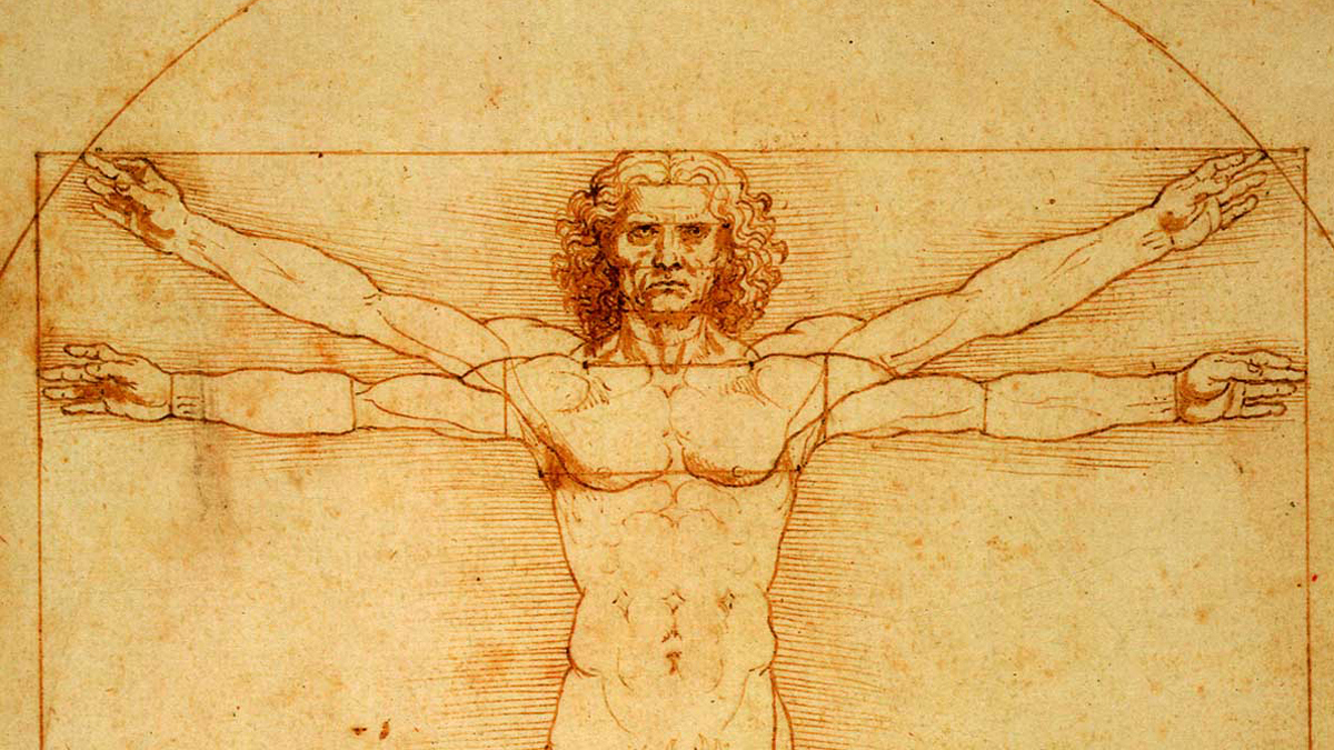 الفن وعلم التشريح