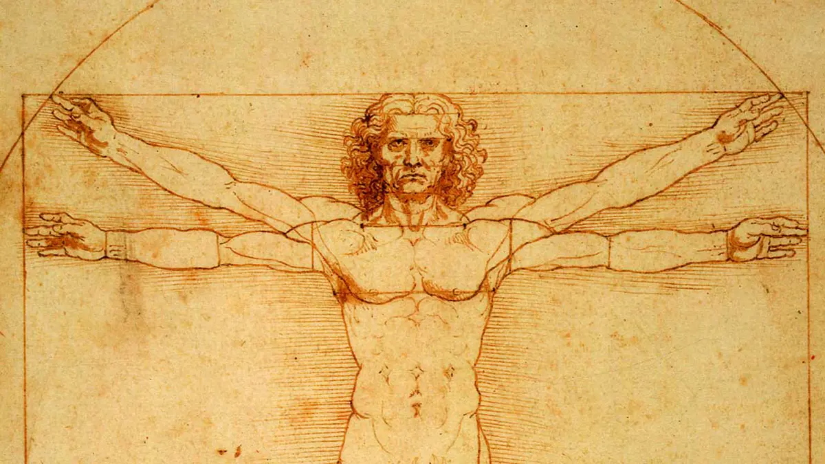 الفن وعلم التشريح